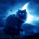 StarryPelts [WCUE]