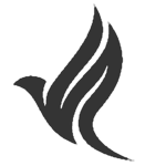 Bird/Productions