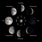 Moon Tribes!