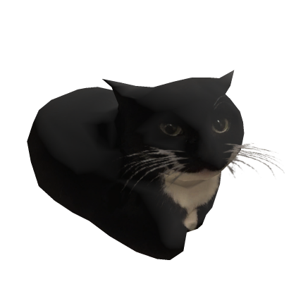 [Dancing!] Maxwell the Cat
