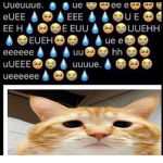 nubs aestetik