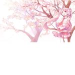 Roses of Peace