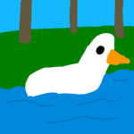 The Duck Community