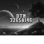 DTN ( DONT TRUST NOBODY ) #DaFights