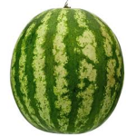 THE MELON NOOB TEAM