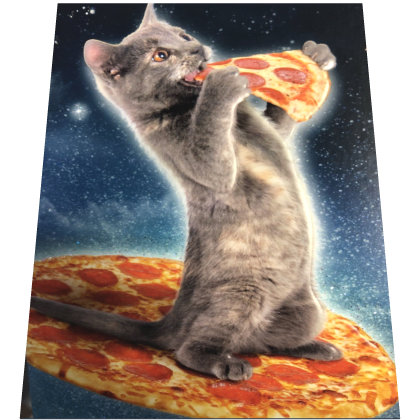 Pizza Galaxy Meme Cat Cape
