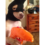 G H S