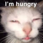 HungyHungy
