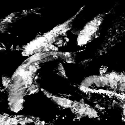 ✦. ──