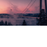 aesthetic blossom gamers_group