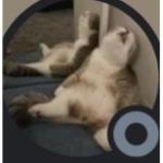 Kitty-Group