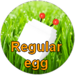 Regular egg