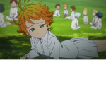 canguru