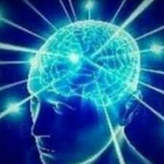 The Big Brainers
