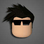 DarkShadow Corp.