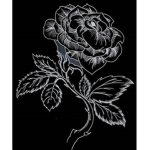 lost's giveaway