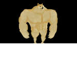 The B0Nk army