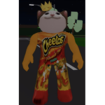 Cheeto Cat Studio