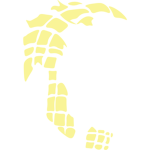 Ataxia Development