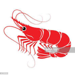 Shrimp Group!