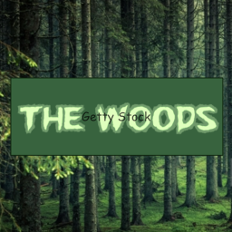 The Woods