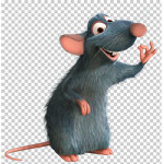 The rat nation kingdom
