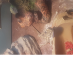 Bearded dragon boys