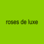 Roses de luxe