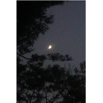 ~ The Moonlight Family ~