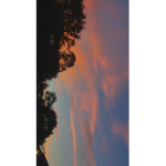 .luvsdani.