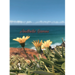Aesthetic-Games