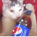 pepsi ペプシ