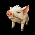 40% pigbomb special