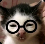 Ang_appa