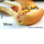 Delicious Doge of Danny