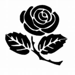 My amazing Rose group