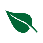 Natural's Studios