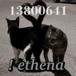 ! ethena