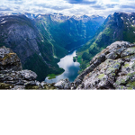The landscape group