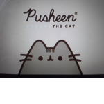 Pusheen Team ####