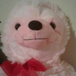 Pink Sloth Nation