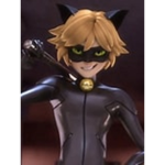cat noir fan group