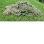 God Jeremy The Grass Pile