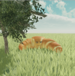 Croissant Council