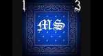 (MS-13)