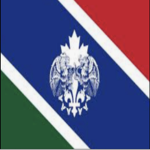 [NAU] The North American Army