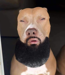 Sxvvyz