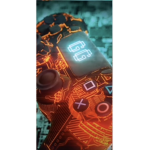 sillysun786=minitoon