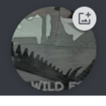 DS: Wild Era