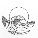 Tiger’s Surf Shop